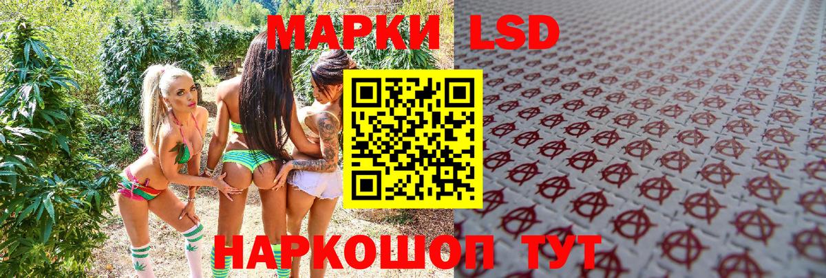 купить наркотик  Вход с VPN  Заволжье  Марки NBOMe 1,8мг  Марки N-bome 
